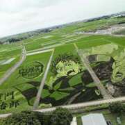 ヒメ日記 2026/03/08 10:28 投稿 さつき 熟女の風俗最終章 沼津店