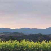 ヒメ日記 2026/03/11 07:11 投稿 さつき 熟女の風俗最終章 沼津店