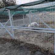 ヒメ日記 2026/03/12 09:48 投稿 さつき 熟女の風俗最終章 沼津店