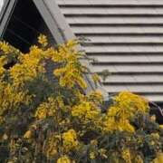 ヒメ日記 2026/03/13 10:21 投稿 さつき 熟女の風俗最終章 沼津店