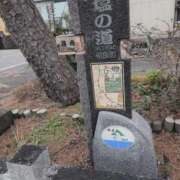 ヒメ日記 2026/03/13 10:52 投稿 さつき 熟女の風俗最終章 沼津店