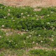 ヒメ日記 2026/03/13 20:26 投稿 さつき 熟女の風俗最終章 沼津店