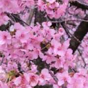 ヒメ日記 2026/03/14 00:31 投稿 さつき 熟女の風俗最終章 沼津店