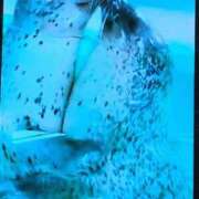 ヒメ日記 2026/03/18 19:38 投稿 さつき 熟女の風俗最終章 沼津店