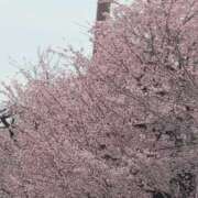 ヒメ日記 2026/03/20 12:38 投稿 さつき 熟女の風俗最終章 沼津店