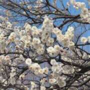 ヒメ日記 2026/03/22 06:18 投稿 さつき 熟女の風俗最終章 沼津店