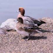 ヒメ日記 2026/03/23 12:42 投稿 さつき 熟女の風俗最終章 沼津店