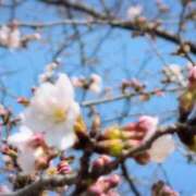 ヒメ日記 2026/03/23 16:58 投稿 さつき 熟女の風俗最終章 沼津店