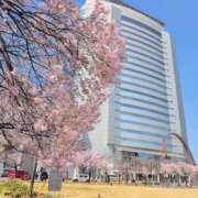 ヒメ日記 2026/03/24 12:39 投稿 さつき 熟女の風俗最終章 沼津店