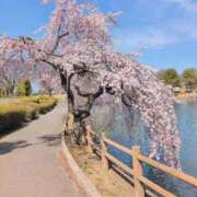 ヒメ日記 2026/03/24 13:28 投稿 さつき 熟女の風俗最終章 沼津店