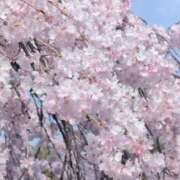 ヒメ日記 2026/03/25 07:58 投稿 さつき 熟女の風俗最終章 沼津店