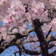 ヒメ日記 2026/03/25 13:48 投稿 さつき 熟女の風俗最終章 沼津店