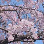 ヒメ日記 2026/03/26 10:21 投稿 さつき 熟女の風俗最終章 沼津店