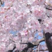 ヒメ日記 2026/03/26 13:40 投稿 さつき 熟女の風俗最終章 沼津店