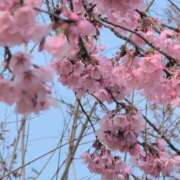 ヒメ日記 2026/03/27 08:05 投稿 さつき 熟女の風俗最終章 沼津店