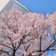 ヒメ日記 2026/03/30 09:58 投稿 さつき 熟女の風俗最終章 沼津店