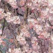 ヒメ日記 2026/03/31 08:08 投稿 さつき 熟女の風俗最終章 沼津店