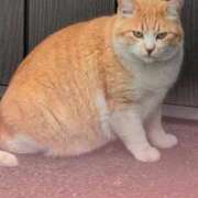 ヒメ日記 2026/04/04 12:38 投稿 さつき 熟女の風俗最終章 沼津店