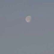 ヒメ日記 2026/04/06 06:58 投稿 さつき 熟女の風俗最終章 沼津店