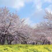 ヒメ日記 2026/04/08 08:28 投稿 さつき 熟女の風俗最終章 沼津店