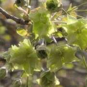 ヒメ日記 2026/04/09 12:48 投稿 さつき 熟女の風俗最終章 沼津店