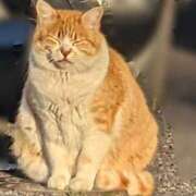 ヒメ日記 2026/04/11 06:38 投稿 さつき 熟女の風俗最終章 沼津店