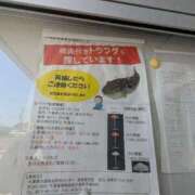 ヒメ日記 2026/05/14 11:32 投稿 さつき 熟女の風俗最終章 沼津店