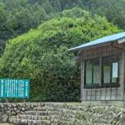 ヒメ日記 2026/05/14 13:38 投稿 さつき 熟女の風俗最終章 沼津店