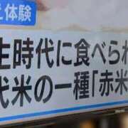 ヒメ日記 2026/05/18 08:10 投稿 さつき 熟女の風俗最終章 沼津店