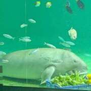 ヒメ日記 2026/05/21 11:16 投稿 さつき 熟女の風俗最終章 沼津店