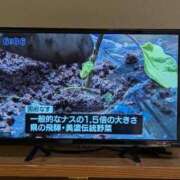 ヒメ日記 2026/05/23 06:38 投稿 さつき 熟女の風俗最終章 沼津店
