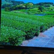 ヒメ日記 2026/05/23 09:33 投稿 さつき 熟女の風俗最終章 沼津店
