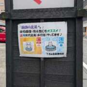 ヒメ日記 2026/05/23 12:48 投稿 さつき 熟女の風俗最終章 沼津店