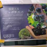 ヒメ日記 2026/05/24 12:18 投稿 さつき 熟女の風俗最終章 沼津店