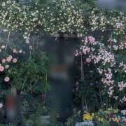 ヒメ日記 2026/05/25 10:13 投稿 さつき 熟女の風俗最終章 沼津店