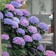 ヒメ日記 2026/06/13 07:48 投稿 さつき 熟女の風俗最終章 沼津店