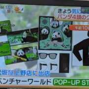 ヒメ日記 2026/06/17 12:28 投稿 さつき 熟女の風俗最終章 沼津店