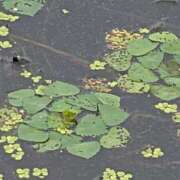 ヒメ日記 2026/07/28 12:10 投稿 さつき 熟女の風俗最終章 沼津店