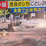 ヒメ日記 2026/10/19 15:18 投稿 さつき 熟女の風俗最終章 沼津店