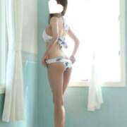 ヒメ日記 2026/02/17 09:19 投稿 るか 夕月