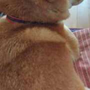 ヒメ日記 2025/05/05 10:36 投稿 青木 MadameRest(マダムレスト)