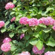 ヒメ日記 2025/06/28 14:45 投稿 青木 MadameRest(マダムレスト)