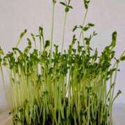 ヒメ日記 2025/08/09 18:02 投稿 青木 MadameRest(マダムレスト)