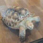 ヒメ日記 2025/11/14 20:36 投稿 青木 MadameRest(マダムレスト)