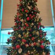 ヒメ日記 2025/11/30 11:30 投稿 青木 MadameRest(マダムレスト)