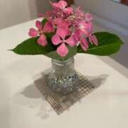 ヒメ日記 2025/06/25 21:58 投稿 はるみ カサブランカ岡山店（カサブランカグループ）