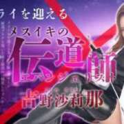 ヒメ日記 2026/03/15 13:30 投稿 吉野沙莉那（ニューハーフ） 人妻生レンタル