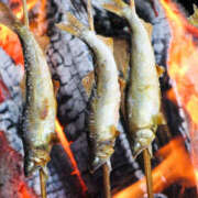 ヒメ日記 2025/05/10 14:40 投稿 宮田 上野CLUB A(クラブ エー)