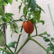 ヒメ日記 2025/06/07 10:40 投稿 宮田 上野CLUB A(クラブ エー)