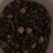 ヒメ日記 2025/06/09 10:50 投稿 宮田 上野CLUB A(クラブ エー)